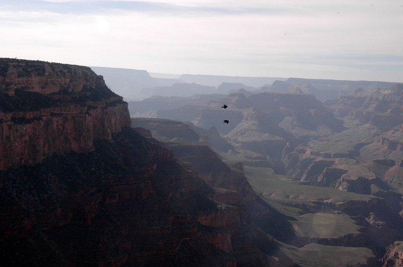 Grand Canyon April 2011_0290.jpg